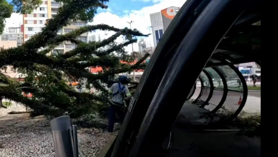 Árvore de grande porte cai em cima de estação-tubo na Praça Rui Barbosa, em Curitiba.