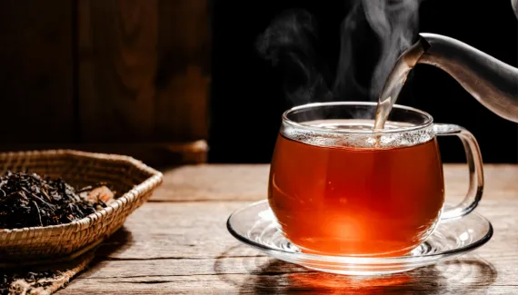 Para que serve o chá de carqueja? 3 receitas e os seus benefícios para a saúde