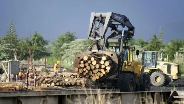 imagem mostra um grande trator carregando com uma garra mecanica toras de madeira empilhadas