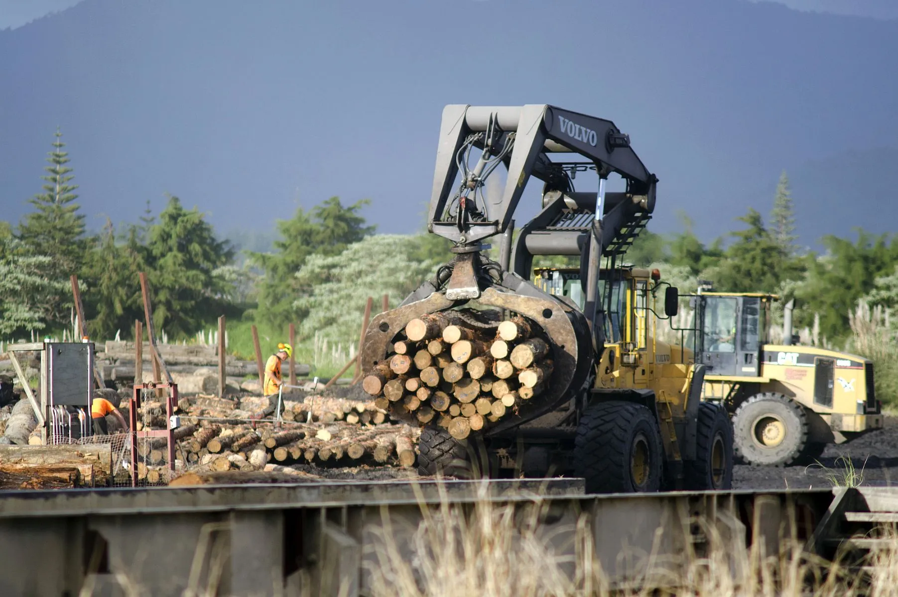 imagem mostra um grande trator carregando com uma garra mecanica toras de madeira empilhadas