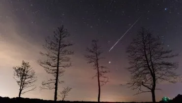 Imagem mostra o céu estrelado durante a noite, com quatro árvores com poucas folhas e um meteoro ao fundo.