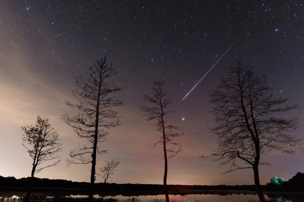 Imagem mostra o céu estrelado durante a noite, com quatro árvores com poucas folhas e um meteoro ao fundo.