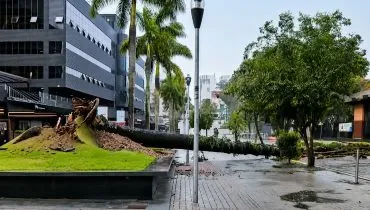 Chuvas e ventos fortes derrubaram árvores em Curitiba