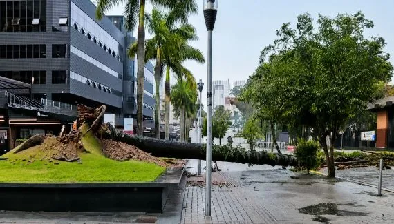 Temporal deixa mais de 100 mil imóveis sem energia e derruba árvores no Paraná