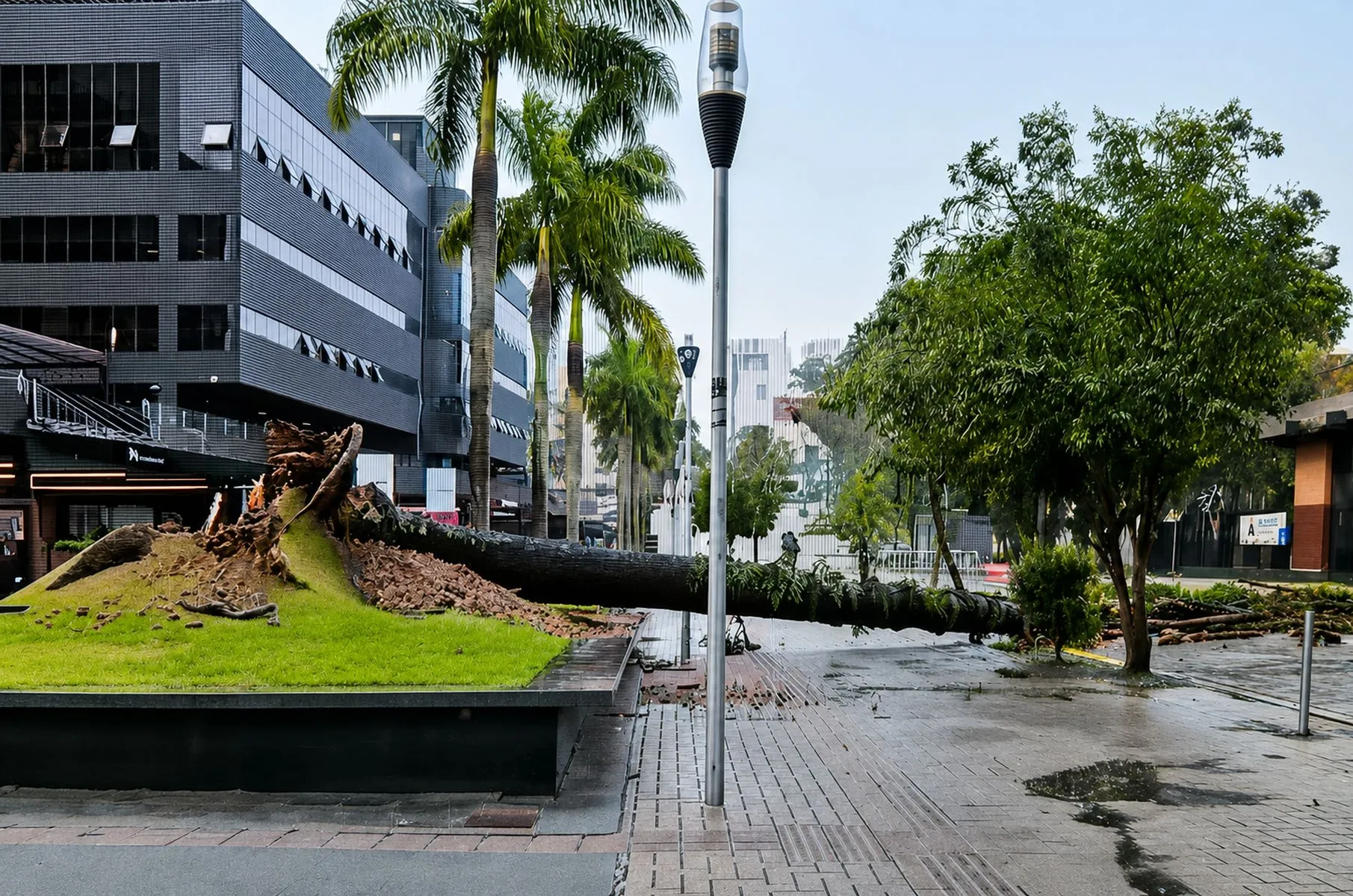Chuvas e ventos fortes derrubaram árvores em Curitiba