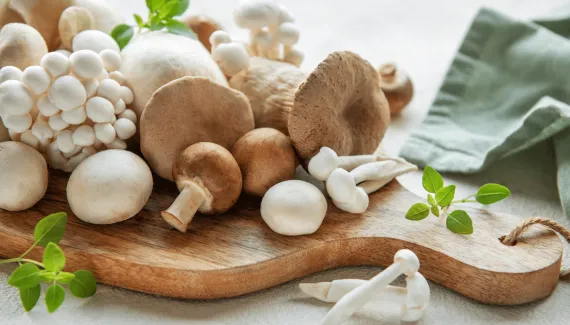 Cogumelos: conheça os principais tipos, benefícios e como incluí-los na dieta
