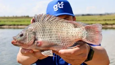 Homem com boné azul escrito GTF em branco, segurando um peixe nas mãos, com os braços esticados para frente, em frente à câmera / fazenda de tilápia
