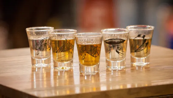 Produção de cachaça cresce 72% e Paraná sobe no ranking nacional
