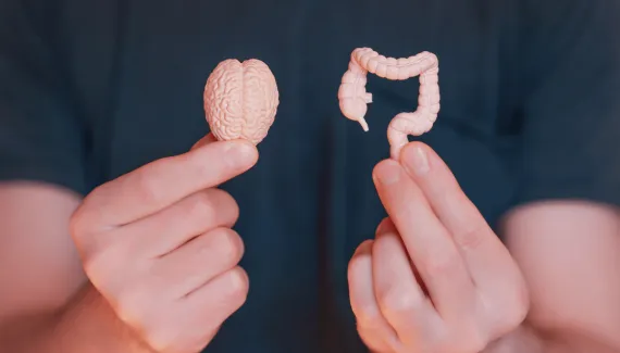 Síndrome do Intestino Irritável: entenda como as emoções podem desencadear os sintomas 