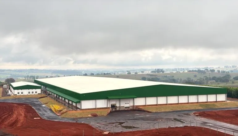 Paraná terá megaincubatório de R$ 120 milhões com capacidade para 125 milhões de ovos por mês