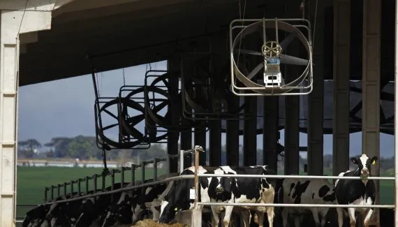 Cooperativas investem na sucessão familiar para garantir o futuro do agronegócio