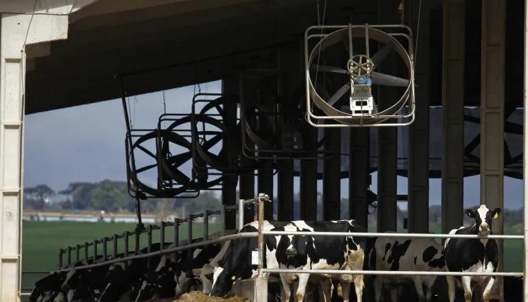 Cooperativas investem na sucessão familiar para garantir o futuro do agronegócio