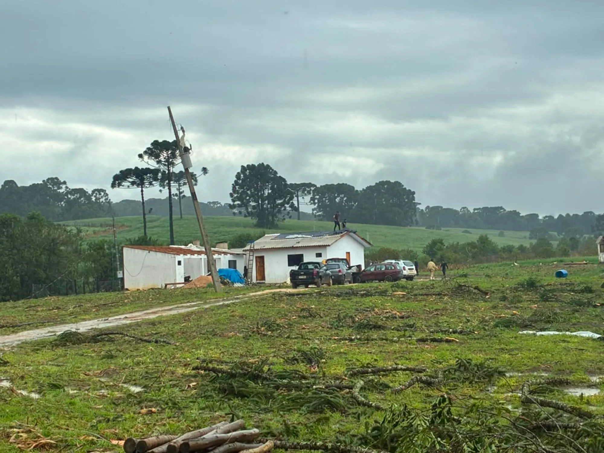 Após tornado em Piraí do Sul, setor rural cobra agilidade no atendimento às propriedades