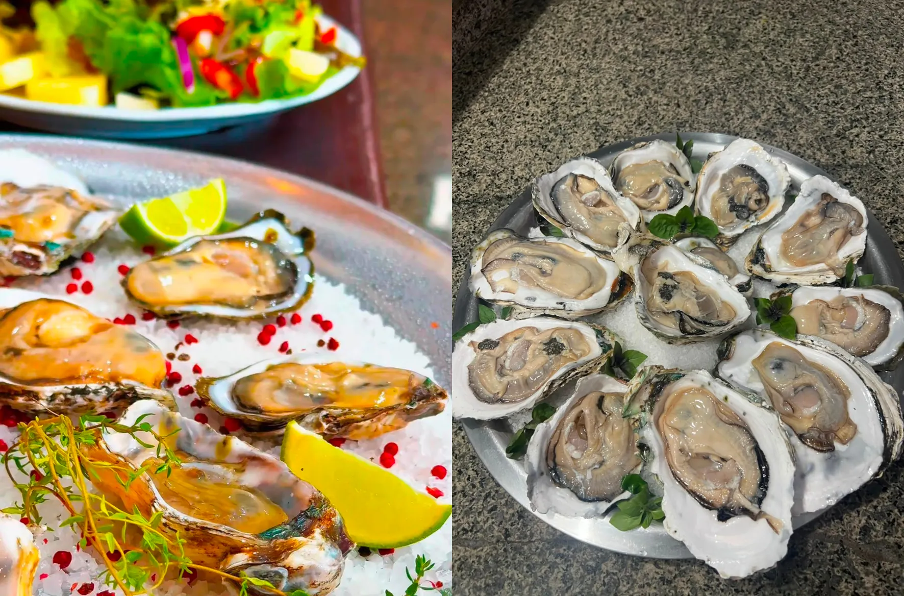 Restaurante Maestro Caramelo / pratos com ostras
