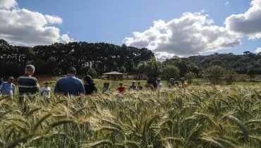 com projeção de diminuição da população nos próximos anos, a sucessão rural é um desafio no Paraná