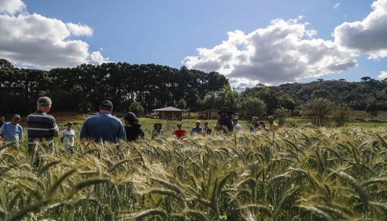 Agro cresce no Paraná, mas campo perde moradores e desafia sucessão familiar