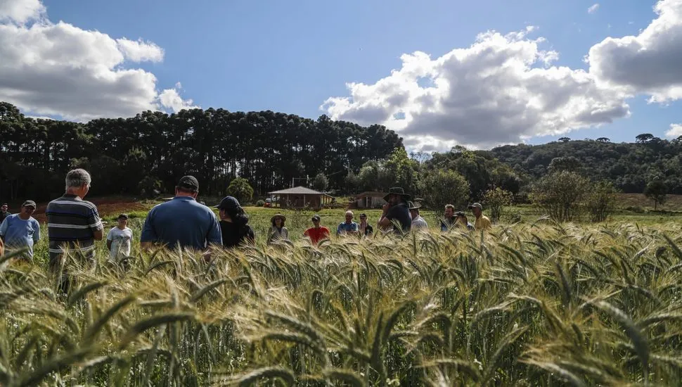com projeção de diminuição da população nos próximos anos, a sucessão rural é um desafio no Paraná