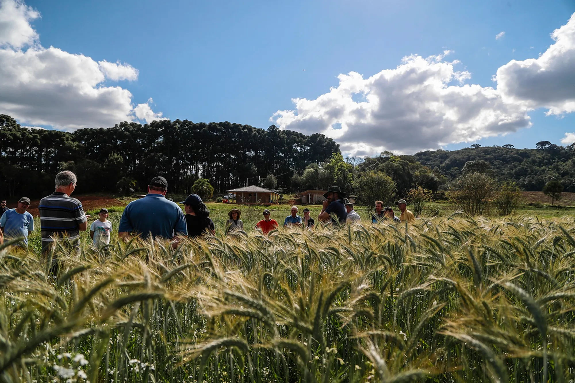 com projeção de diminuição da população nos próximos anos, a sucessão rural é um desafio no Paraná