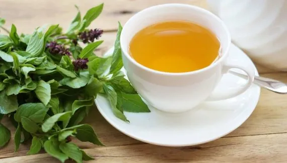 Para que serve o chá de manjericão? Veja 5 receitas e os seus benefícios