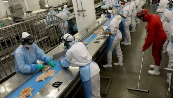 Frango do Paraná dribla guerra e Ormuz com novas rotas e produtos de maior valor