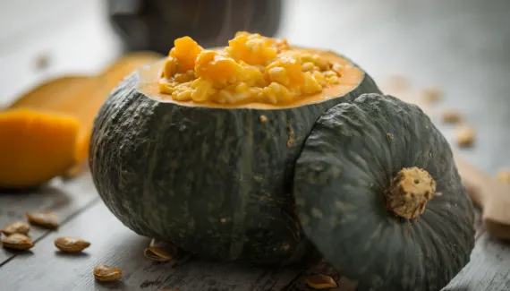 5 receitas saudáveis com abóbora-japonesa para o almoço