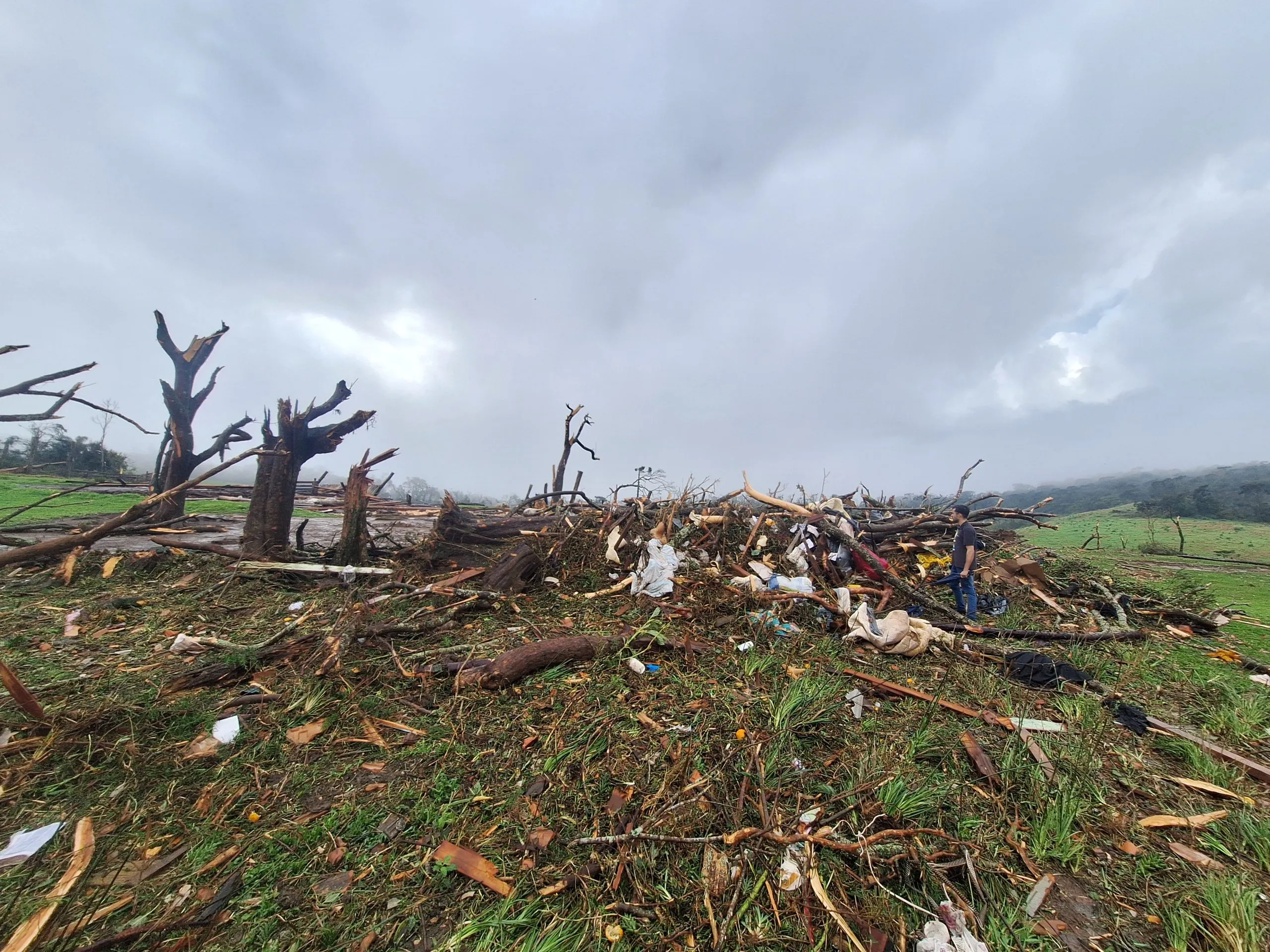 A imagem mostra árvores quebradas, galhos e entulho após o tornado.