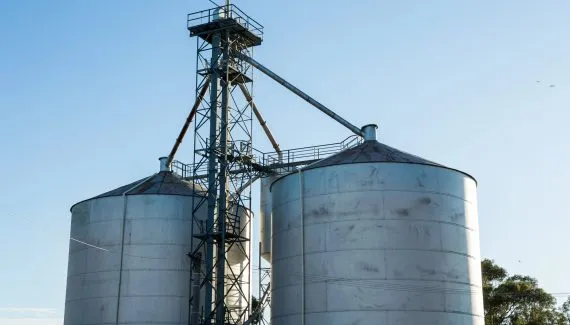 Silo que armazenava milho desaba no interior do Paraná