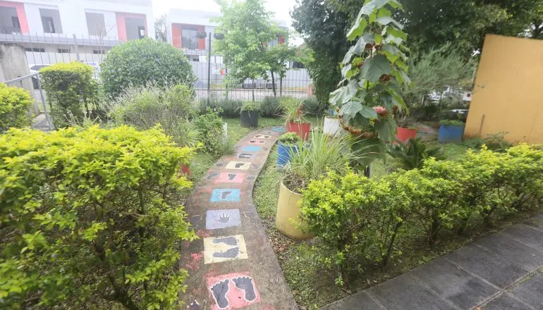A imagem mostra o pomar da escola João Macedo Filho, com mudas de plantas e um caminho de concreto no meio. 