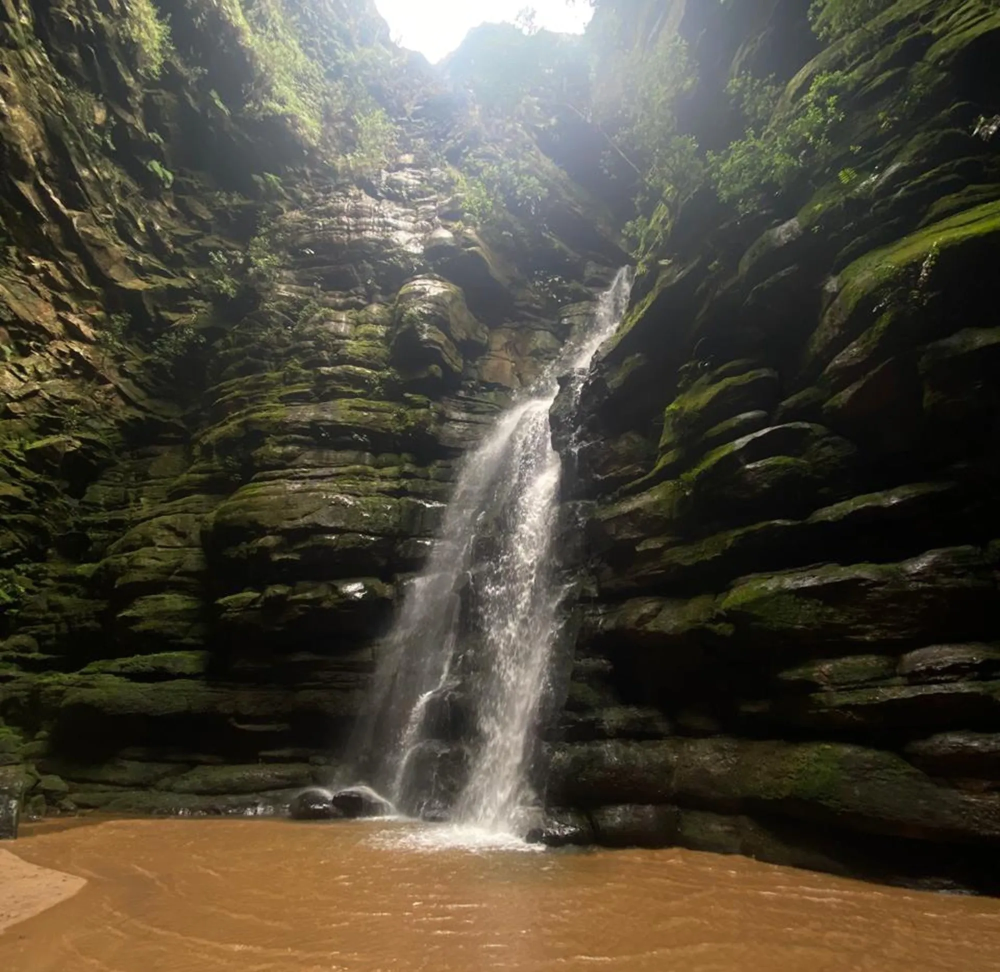 Buraco do Padre revela espécies desconhecidas pela ciência em pesquisa