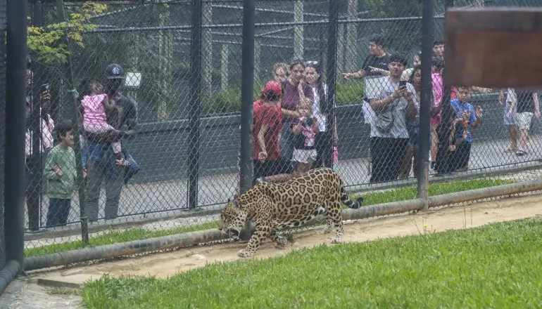Pensando em ir ao Zoológico? Local será fechado nesta sexta-feira
