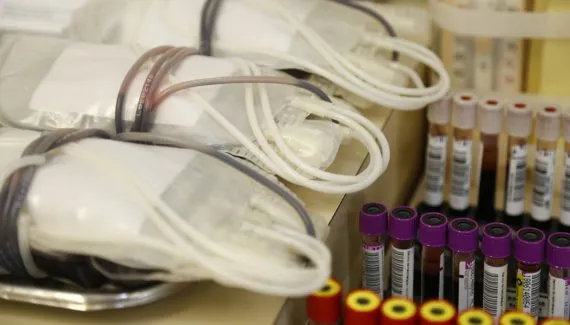 Doação de sangue: novas regras reduzem prazo após tatuagem, piercing e exames