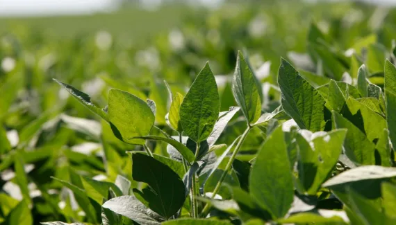 Produtores rurais do Paraná poderão ter desconto na cobrança de água