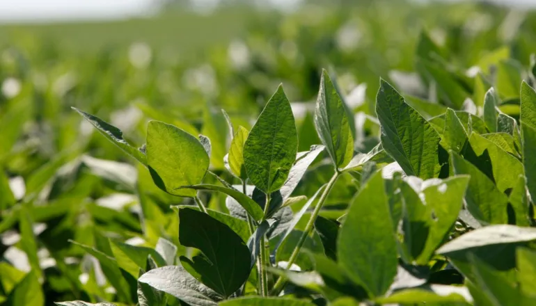 Produtores rurais do Paraná poderão ter desconto na cobrança de água