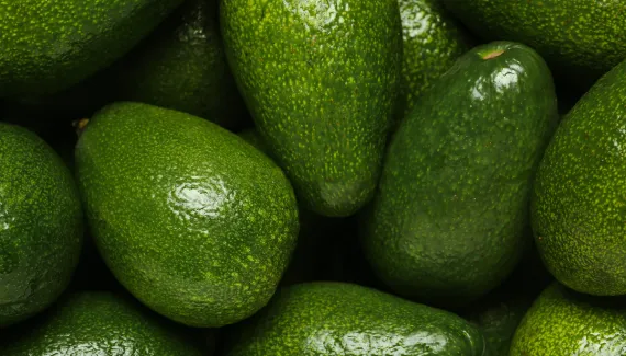Nem na geladeira, nem na bancada: este é o melhor lugar para guardar o abacate verde