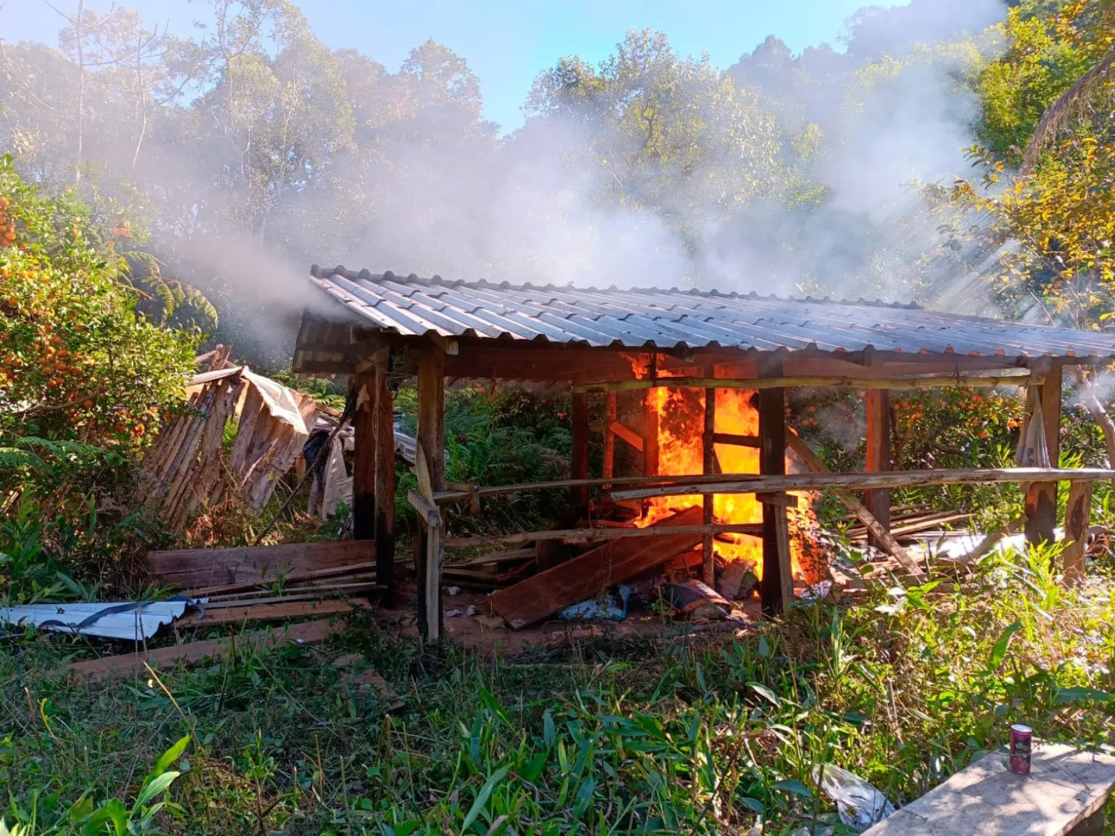Fotografia ao ar livre mostrando uma pequena cabana de madeira pegando fogo no interior. Chamas alaranjadas intensas sobem do chão até o teto, emitindo uma fumaça clara que se espalha pelo ar. O abrigo fica em uma área rural arborizada, cercado por vegetação verde e árvores ao fundo sob luz do sol.
