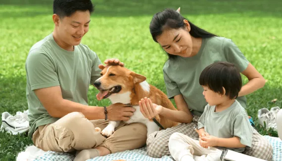 Dia Mundial do Cachorro: ciência comprova que cães protegem a imunidade de bebês e reduzem estresse em adultos