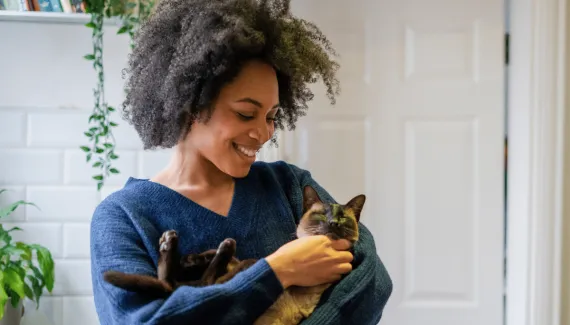 Não é vingança nem manha: 7 comportamentos dos gatos interpretados errados e que podem indicar questões de saúde