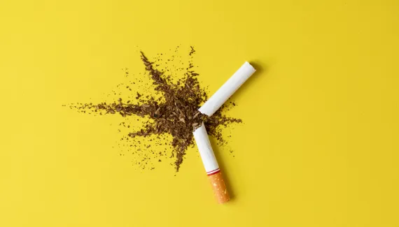 Cigarro não prejudica apenas o pulmão: o hábito de fumar também afeta os vasos sanguíneos