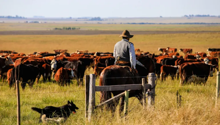 Três cidades do Paraná superam R$ 4 bilhões em produção agropecuária