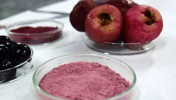 Jambo blinda a memória em testes e ajuda a controlar o diabetes