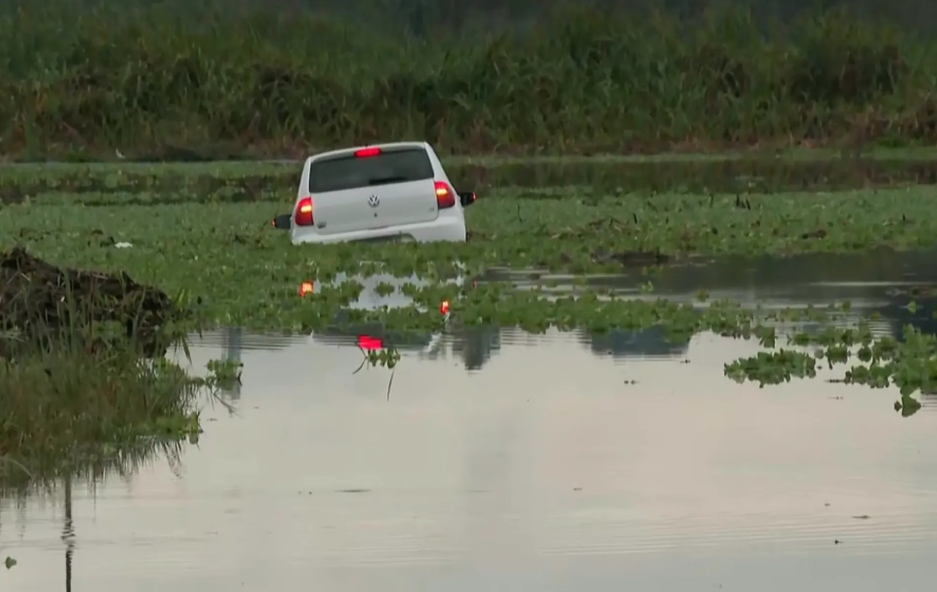 #PraCegoVer #DescriçãoDaImagem Fotografia em enquadramento aberto mostrando um carro hatch branco, da marca Volkswagen, parcialmente submerso em um corpo d'água coberto por vegetação aquática e aguapés. Visto de traseira, o veículo está com as luzes dos faróis e lanternas acesas, refletindo na superfície da água. Ao fundo e nas laterais, estende-se uma área com vegetação rasteira e alta sob iluminação natural suave.