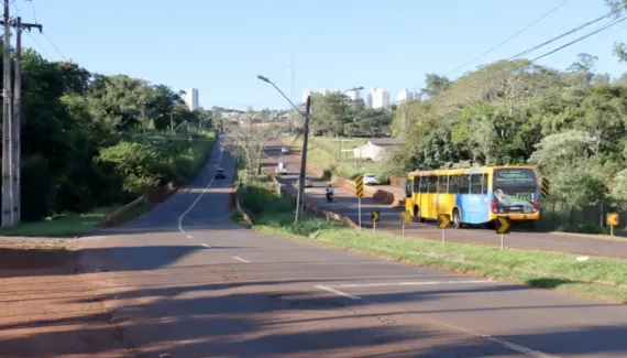 MP cobra radares e cercas para reduzir atropelamentos de animais perto de parque no Paraná