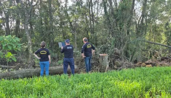 Cerco ao desmatamento: fiscalização aplica 392 multas no Centro e Sudoeste do PR