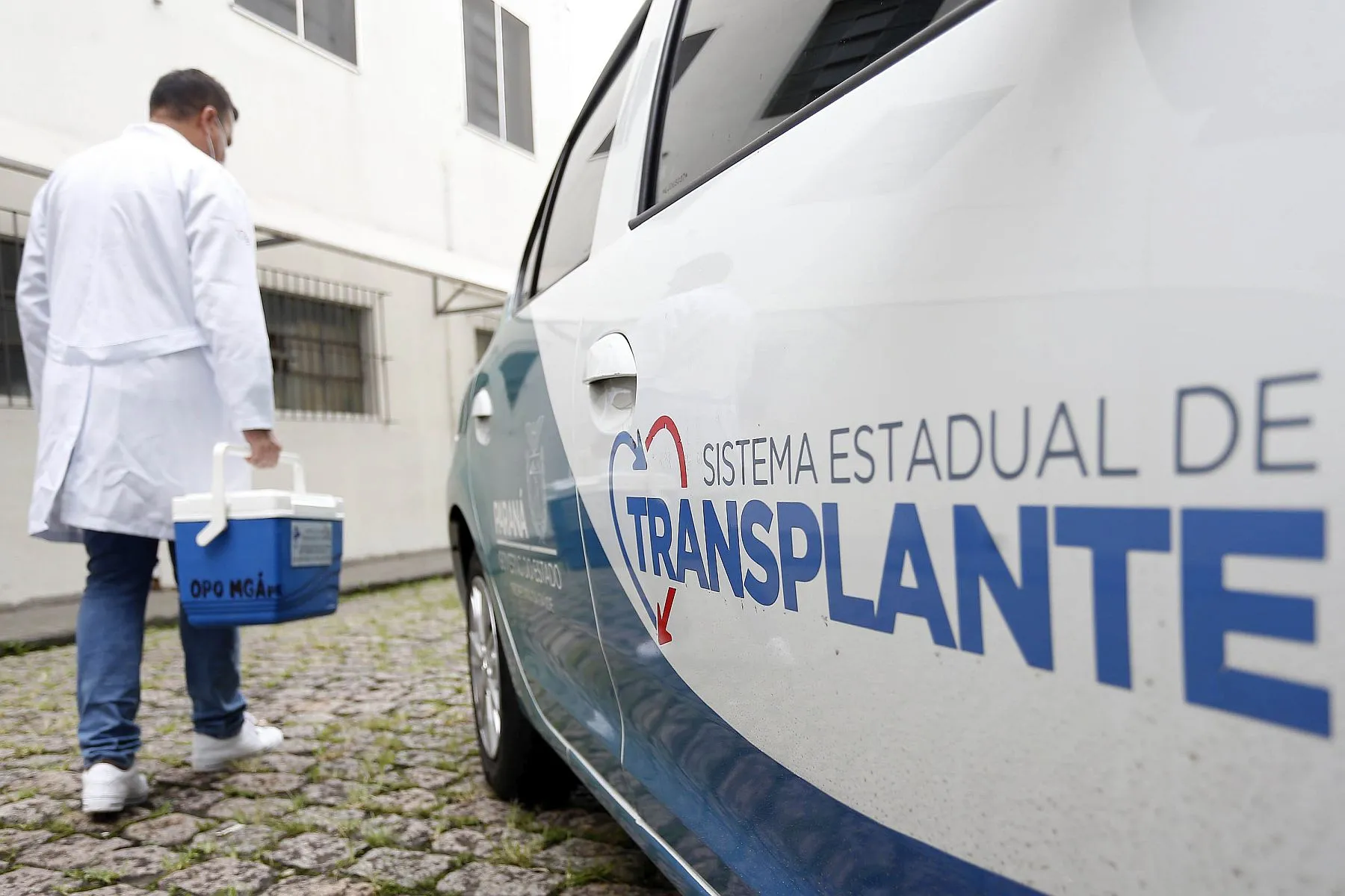 Quem são e onde estão os doadores que fazem do Paraná líder em salvar vidas