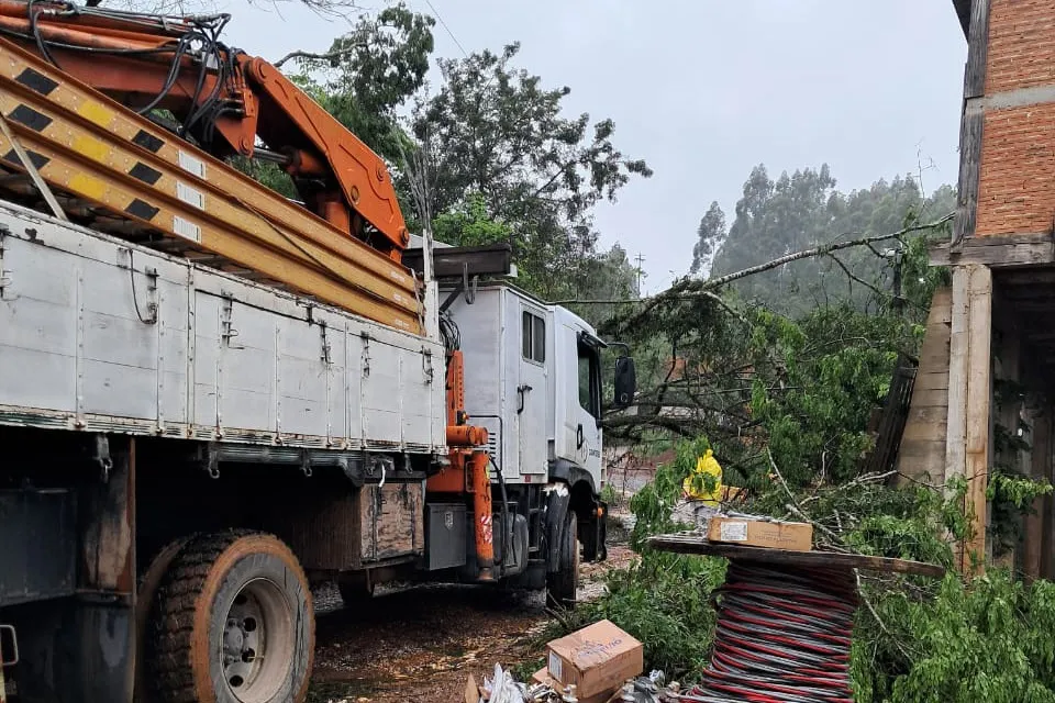 A foto mostra um caminhão de reparos da companhia de energia em frente a uma árvore tombada, ao lado de uma casa.