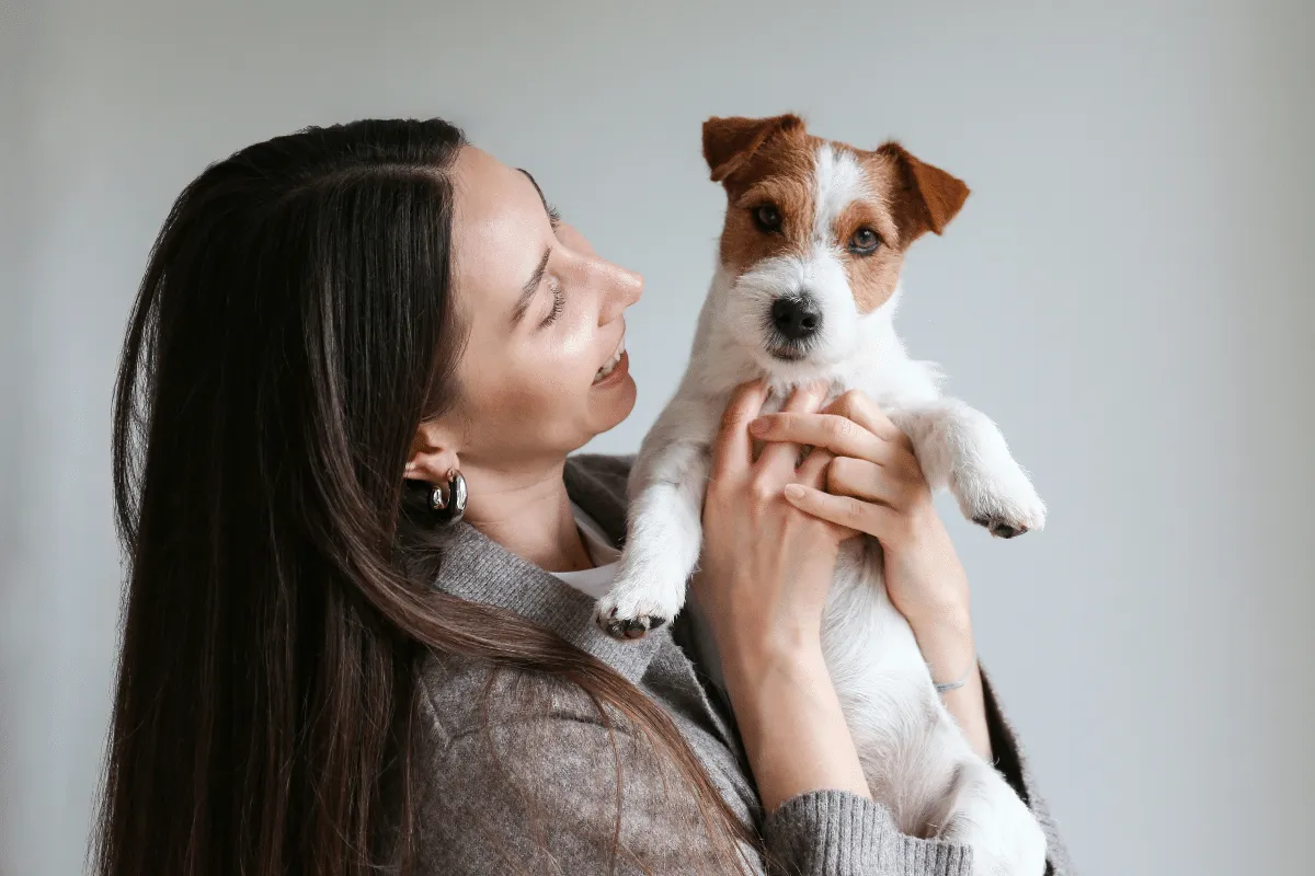 Seu pet está com dor? 7 sinais que podem revelar que algo não vai bem