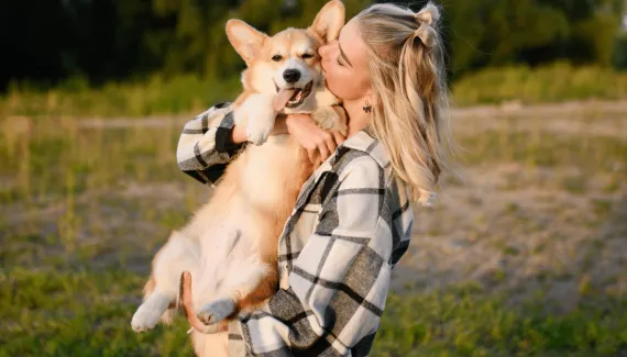 Encostar o focinho na mão e colocar a pata sobre o tutor: veja 6 sinais de que o cachorro quer carinho