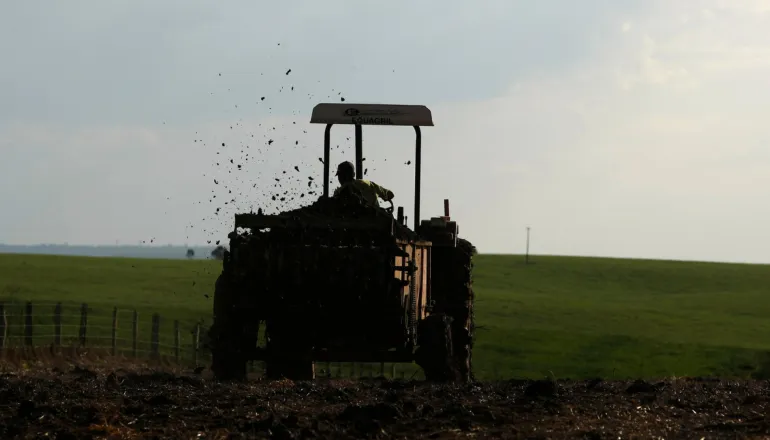Para cortar gastos, produtores do Paraná reduzem fertilizantes e efeito pode chegar ao consumidor