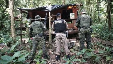 Base ilegal de caçadores é encontrada dentro de parque estadual no Litoral do Paraná