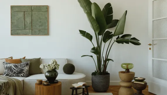 Cores, materiais naturais e mais: 7 tendências de decoração para a primavera